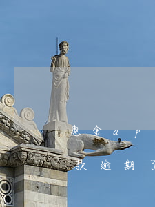 惠金app貸款逾期了怎么辦 惠金app貸款逾期了怎么辦