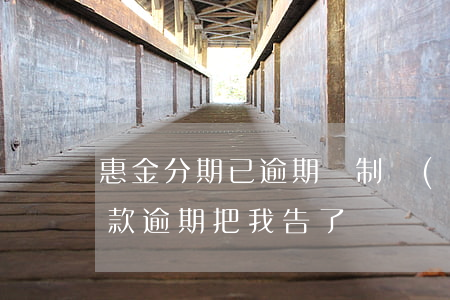 惠金分期已逾期強制執(zhí)行(惠金貸款逾期把我告了)