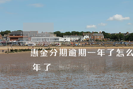 惠金分期逾期一年了怎么辦（惠金分期逾期一年了）