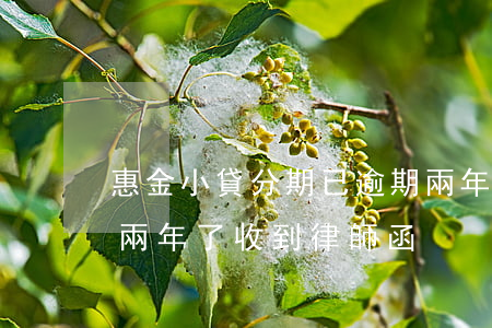 惠金小貸分期已逾期兩年了(惠金分期已逾期兩年了收到律師函)