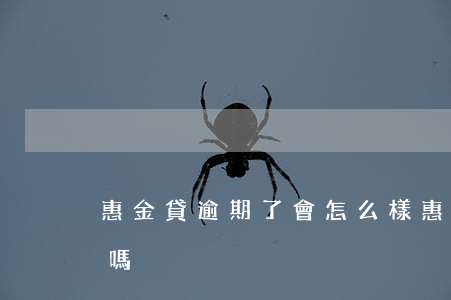 惠金貸逾期了會怎么樣 惠金貸款逾期上征信嗎