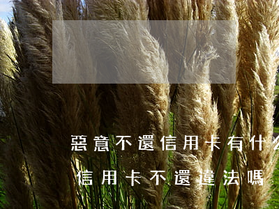 惡意不還信用卡有什么后果(惡意透支別人的信用卡不還違法嗎)