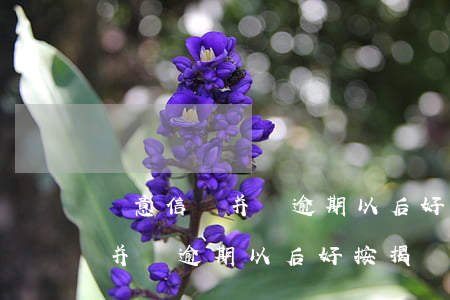 惡意信貸并無逾期以后好按揭嗎-惡意信貸并無逾期以后好按揭嗎知乎
