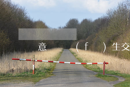 惡意別車發(fā)生交通事故逃逸