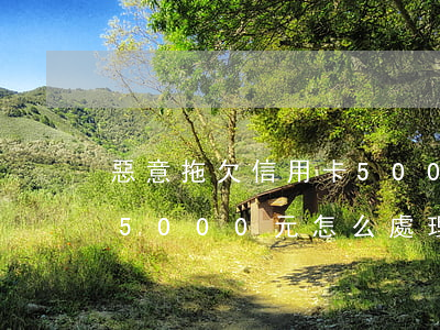 惡意拖欠信用卡5000元(惡意拖欠信用卡5000元怎么處理)