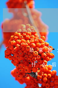 惡意拖欠信用卡不還后果(信用卡惡意不還有什么后果)