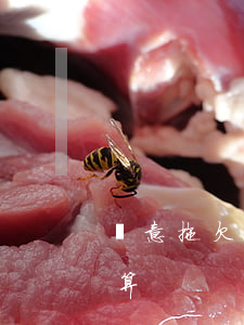 惡意拖欠信用卡利息(欠銀行信用卡利息怎么算)