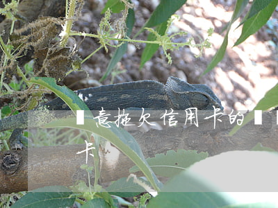 惡意拖欠信用卡的標準(什么是惡意拖欠信用卡)