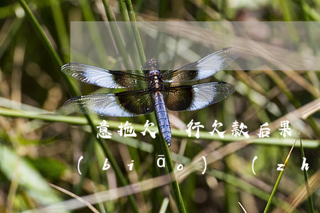 惡意拖欠銀行欠款后果(惡意欠銀行錢立案標(biāo)準(zhǔn))
