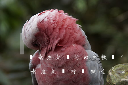 惡意拖欠銀行的欠款會(huì)坐牢嗎（惡意拖欠銀行貸款是什么意思）