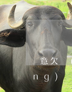 惡意欠網(wǎng)貸是啥意思(網(wǎng)貸有惡意貸款這一說嗎)