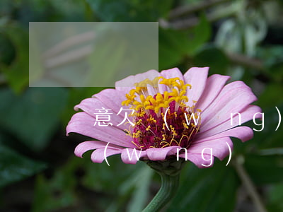 惡意欠網(wǎng)貸會判刑嗎(惡意拖欠網(wǎng)貸屬于民事還是刑事)