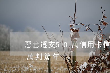 惡意透支50萬信用卡(信用卡惡意透支20萬判幾年)