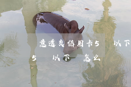 惡意透支信用卡5萬以下-惡意透支信用卡5萬以下會怎么處罰