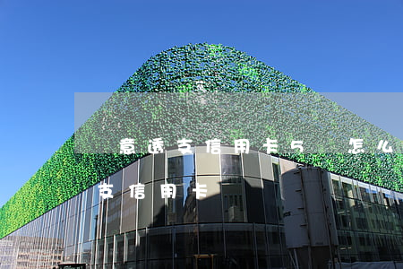 惡意透支信用卡5萬怎么辦(多少錢算惡意透支信用卡)
