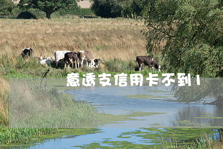 惡意透支信用卡不到1萬