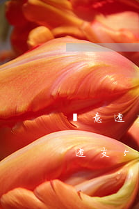 惡意透支信用卡不滿五萬(wàn)(信用卡透支5萬(wàn)以上,一定會(huì)判刑嗎)