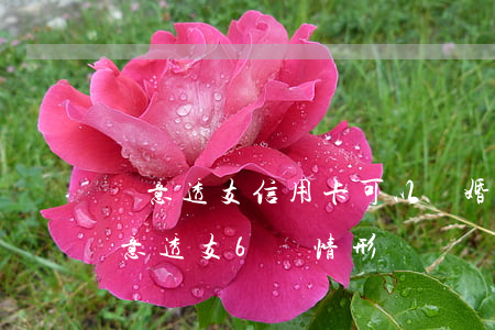 惡意透支信用卡可以離婚嗎(什么是信用卡惡意透支6種情形)