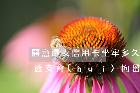 惡意透支信用卡坐牢多久(被起訴信用卡惡意透支會(huì)拘留嗎)