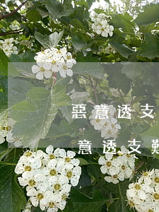 惡意透支信用卡多少錢立案(為什么信用卡惡意透支難立案)