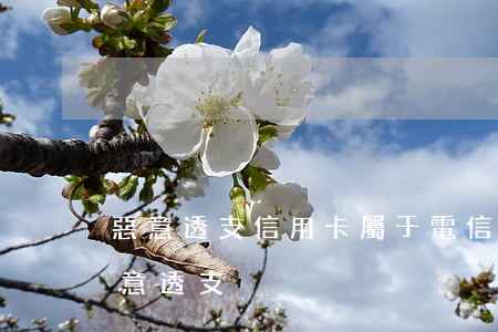 惡意透支信用卡屬于電信嗎(什么是信用卡惡意透支?)