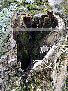 惡意透支信用卡怎么判斷(什么情況算是惡意透支信用卡)