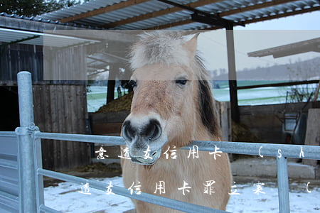 惡意透支信用卡數(shù)額較大為(惡意透支信用卡罪立案標(biāo)準(zhǔn))