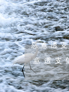 惡意透支信用卡有什么后果(什么情況下是惡意透支信用卡)