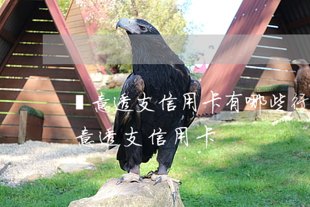 惡意透支信用卡有哪些行為(什么情況下是惡意透支信用卡)