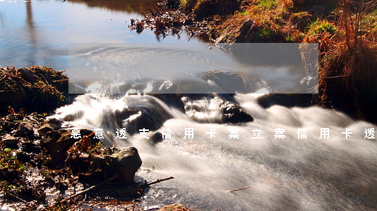 惡意透支信用卡案立案(信用卡透支案件)