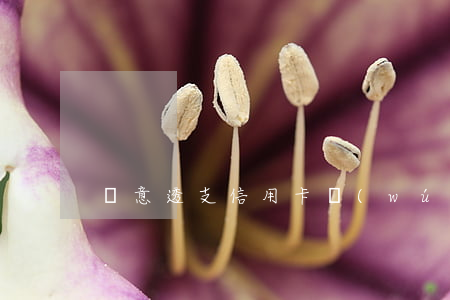 惡意透支信用卡無(wú)力償還什么后果