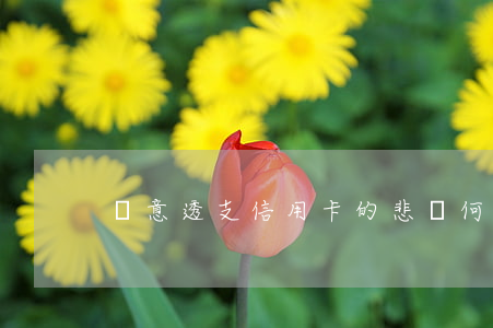 惡意透支信用卡的悲劇(何為惡意透支信用卡)