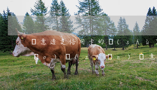 惡意透支信用卡的數(shù)額標(biāo)準(zhǔn)(惡意透支信用卡3萬的量刑標(biāo)準(zhǔn))