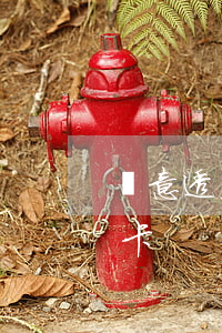 惡意透支信用卡逃到境外(何為惡意透支信用卡)