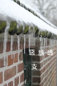惡意透支信用卡透支后果(信用卡涉嫌惡意透支)