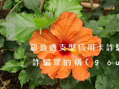 惡意透支型信用卡詐騙罪(惡意透支型信用卡詐騙罪的構(gòu)成要件)