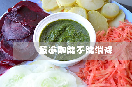 惡意逾期能不能消除