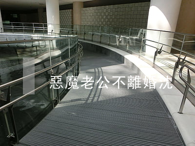 惡魔老公不離婚沈