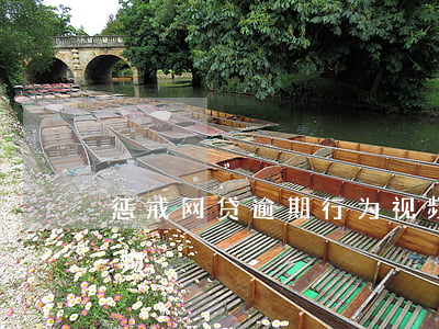 惩戒网贷逾期行为视频(惩戒网贷逾期行为视频)