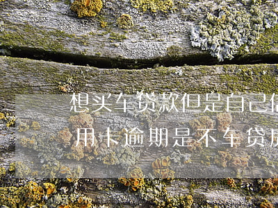 想买车贷款但是自己信用卡有逾期怎么办（信用卡逾期是不车贷房贷贷不了）
