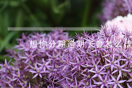 想你分期逾期了會怎么樣