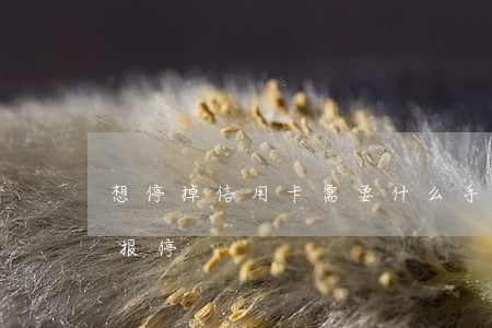 想停掉信用卡需要什么手续（银行信用卡如何报停）