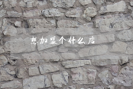 想加盟个什么店