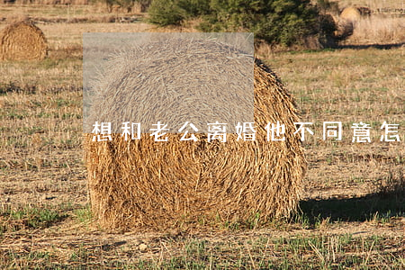 想和老公离婚他不同意怎么办