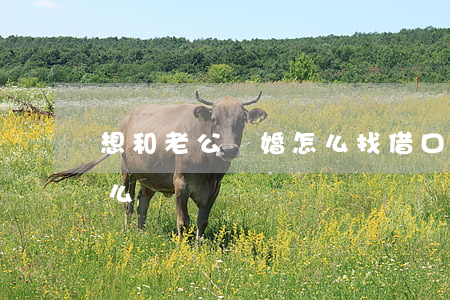 想和老公離婚怎么找借口呢(想跟老公離婚怎么辦)