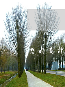 想好商标名字，为什么老是注册不了？