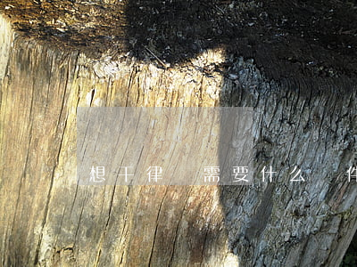 想干律師需要什么條件