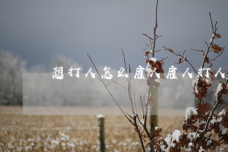 想打人怎么雇人(雇人打人犯法吗)