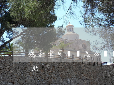 想打官司沒錢怎么辦(沒錢怎么打官司,尋求幫助)