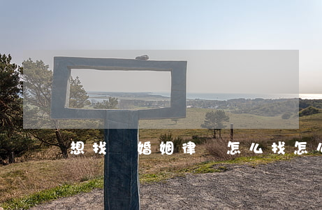 想找個婚姻律師怎么找(怎么找個好律師)
